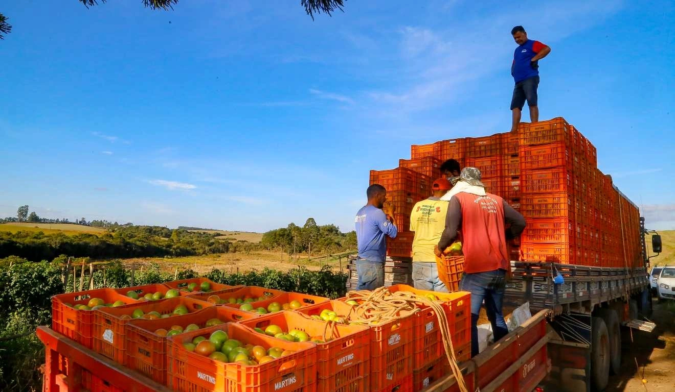 Redução da jornada 6×1 vai causar impacto de R$ 4,1 bi no agro do Paraná, estima Faep