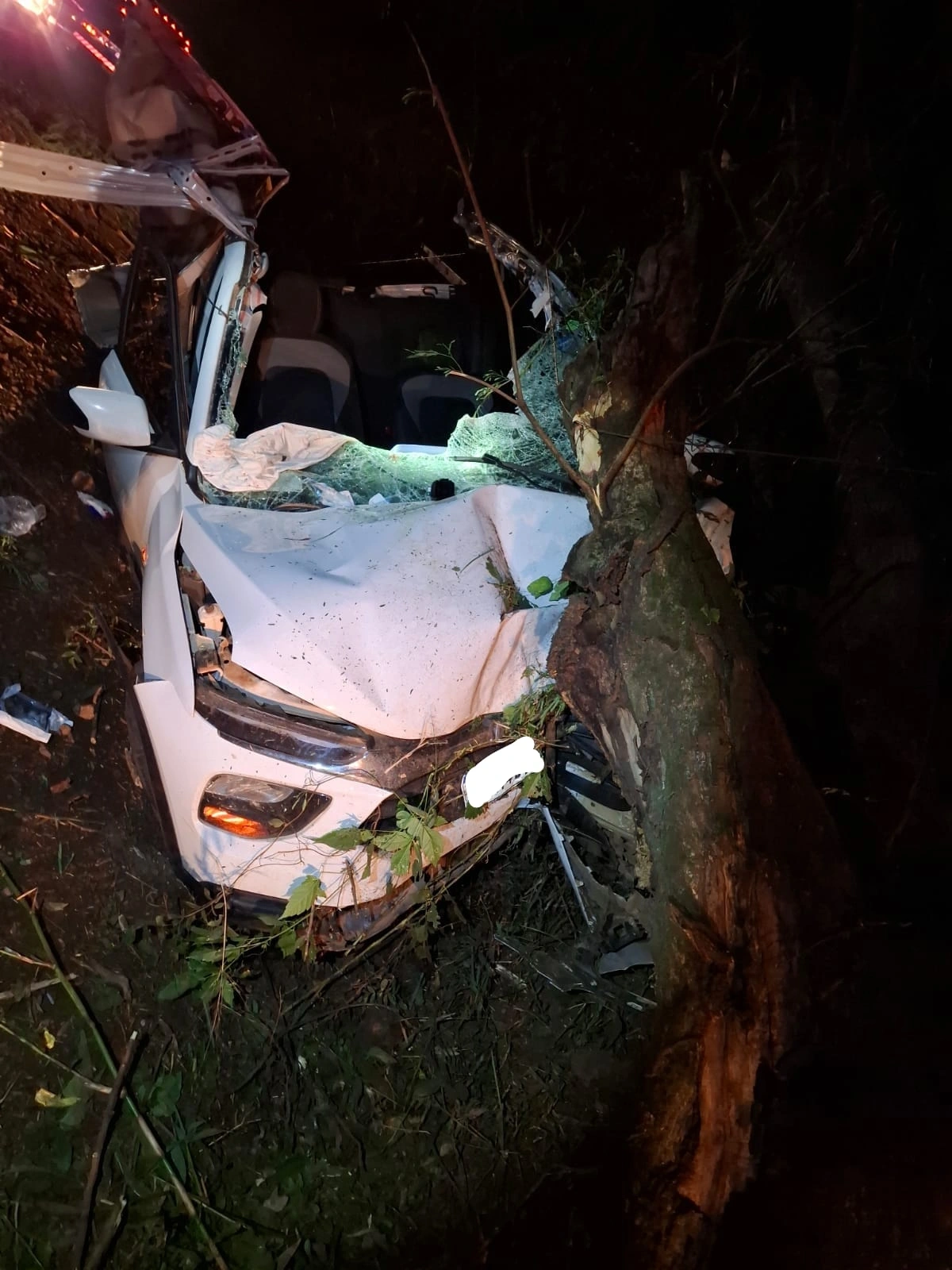 Motorista de 25 anos morre após acidente na PR-495 em Missal