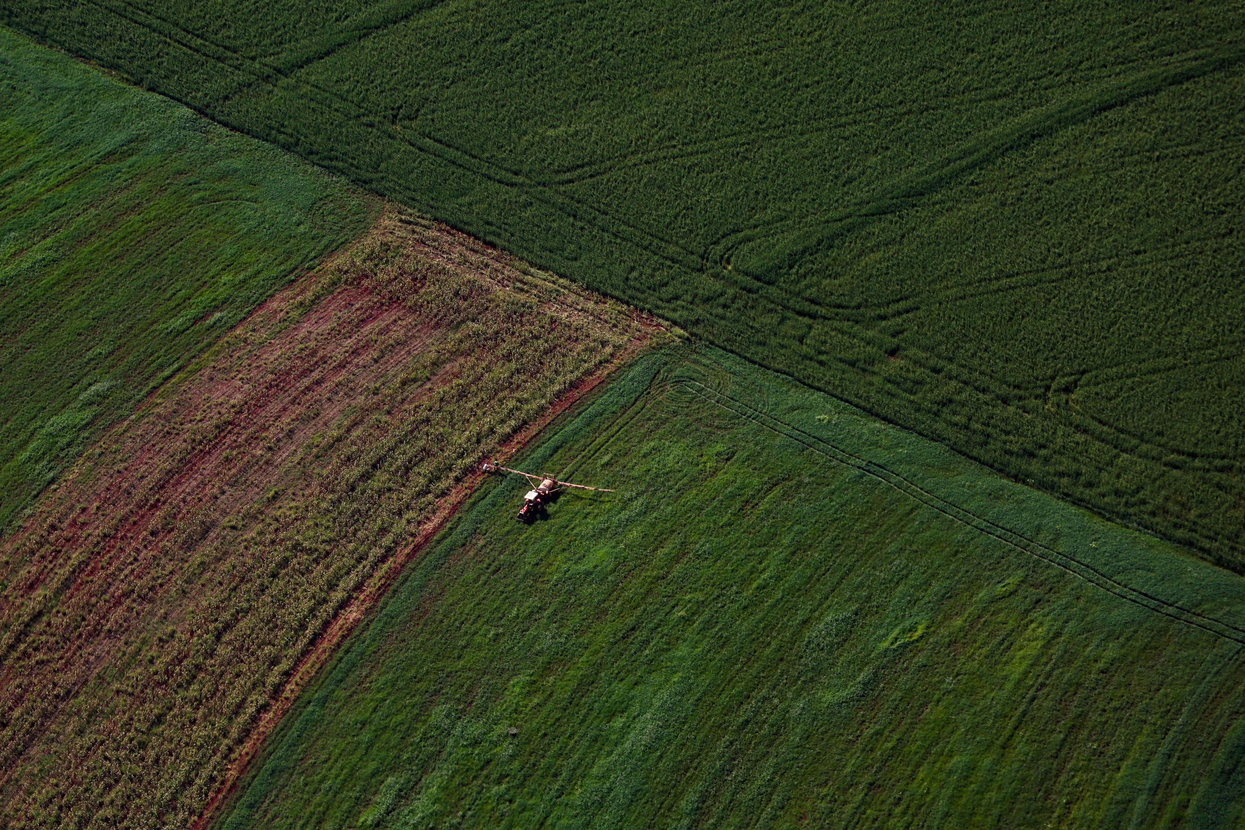 Supermercado do mundo: Paraná expande produção agropecuária entre 2018 e 2025