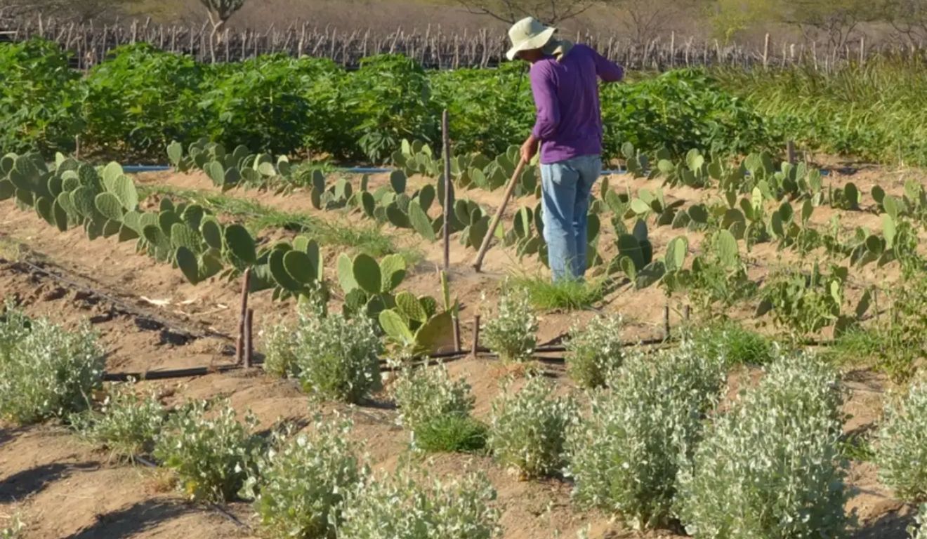 Arquivo/Agência Brasil